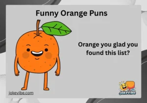 Funny Orange Puns