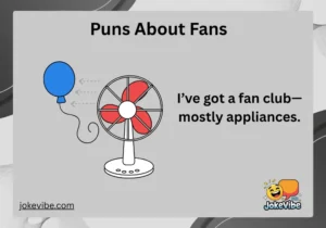Puns About Fans