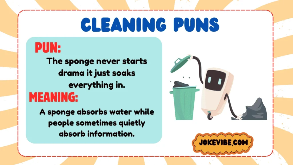 Cleaning Puns