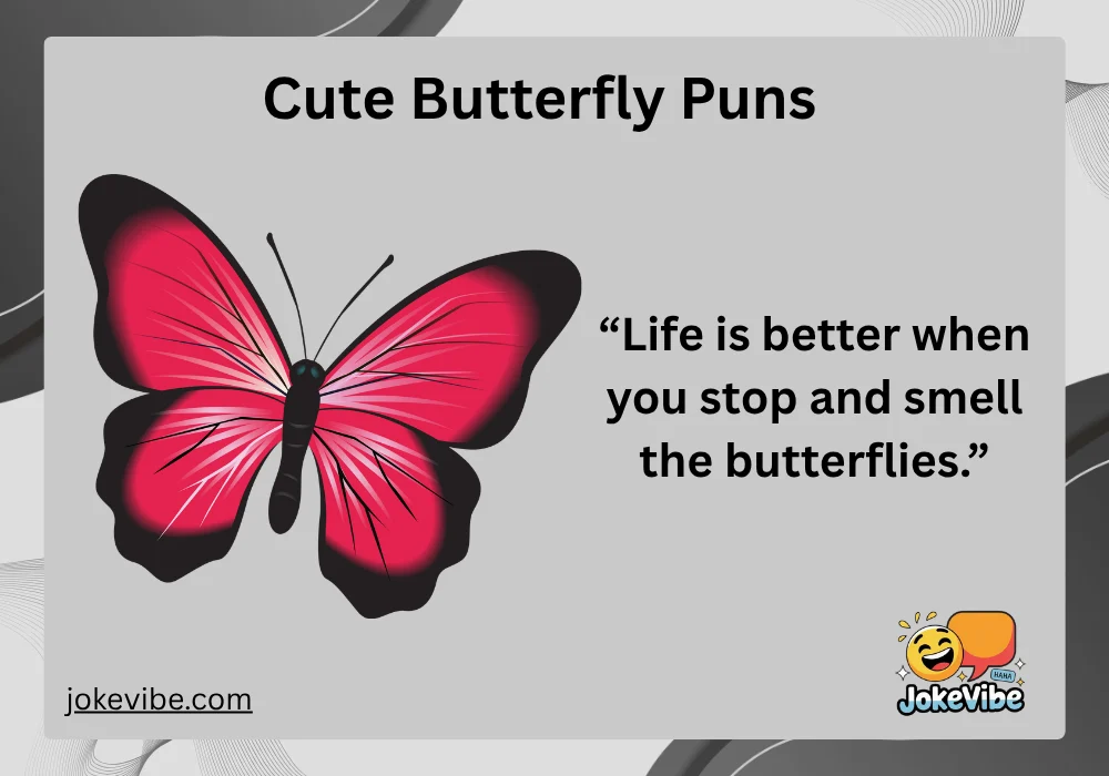 Cute Butterfly Puns