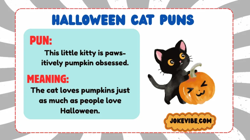 Halloween Cat Puns