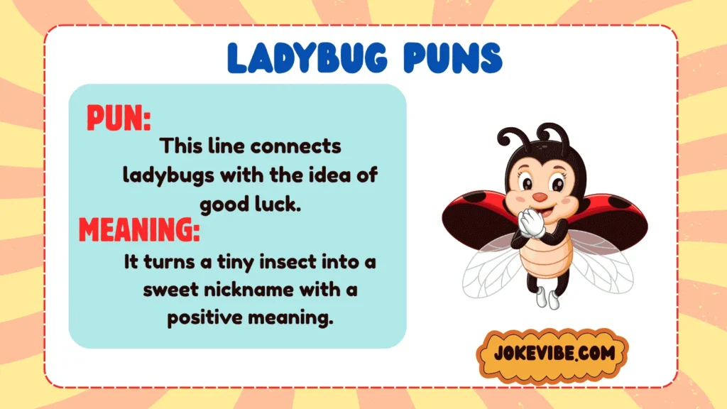 Ladybug Puns